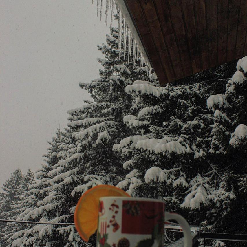 Შენ Ხარ Ცემში / You Are In Tsemi Exterior photo