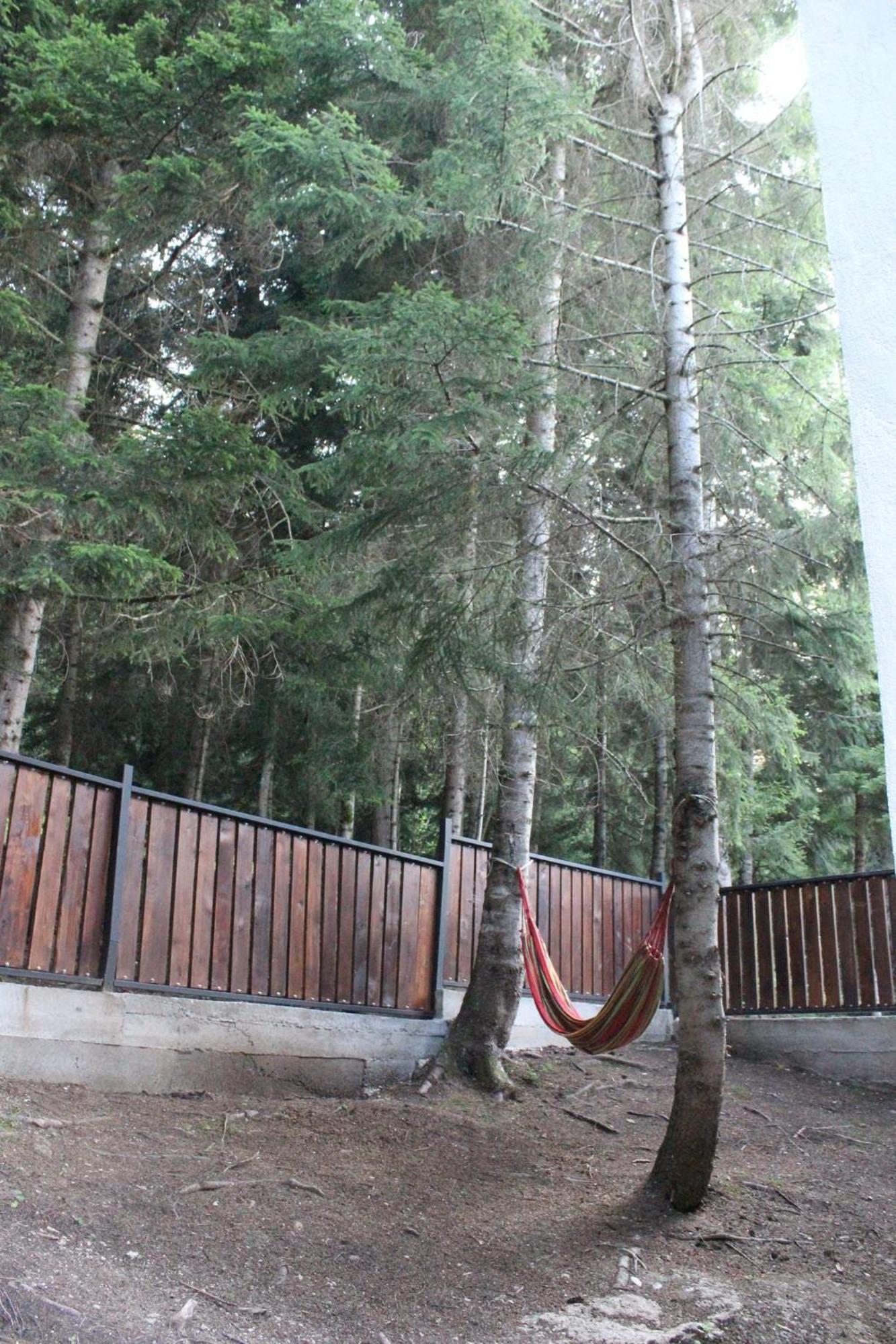 Შენ Ხარ Ცემში / You Are In Tsemi Exterior photo